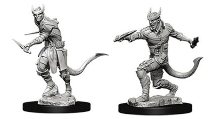 Tiefling Male Rogue (D&D Nolzur's Marvelous Miniatures)(2)