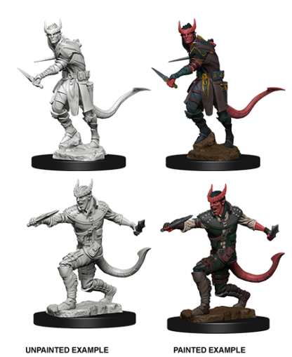 Tiefling Male Rogue (D&D Nolzur's Marvelous Miniatures)(2) - Afbeelding 5