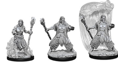 Male Water Genasi Druid (D&D Nolzur's Marvelous Miniatures)(2)