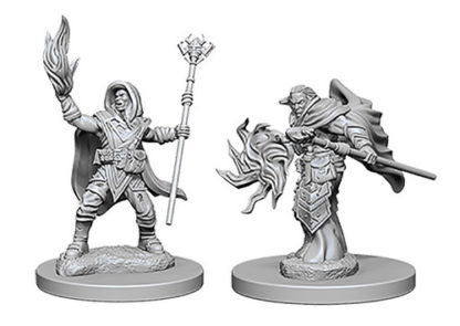 Male Elf Wizard (D&D Nolzur's Marvelous Miniatures)(2)