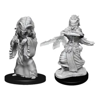 Night Hag & Dusk Hag (D&D Nolzur's Marvelous Miniatures)(2)