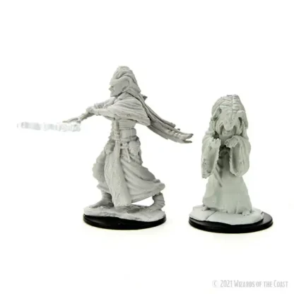 Night Hag & Dusk Hag (D&D Nolzur's Marvelous Miniatures)(2) - Afbeelding 4