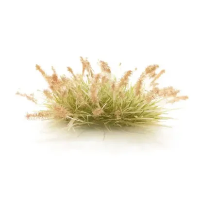 Brown Seed Tufts - Afbeelding 2