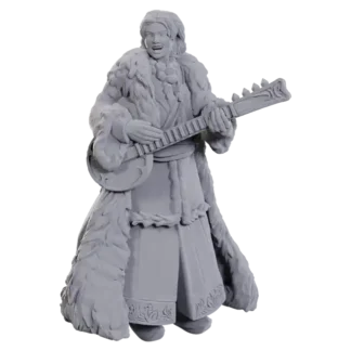 Ansalon Human Bard (D&D Nolzur's Marvelous Miniatures)(1)