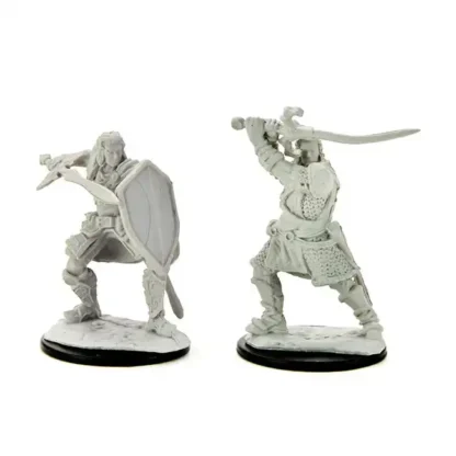 Male Human Paladin (D&D Nolzur's Marvelous Miniatures)(2)