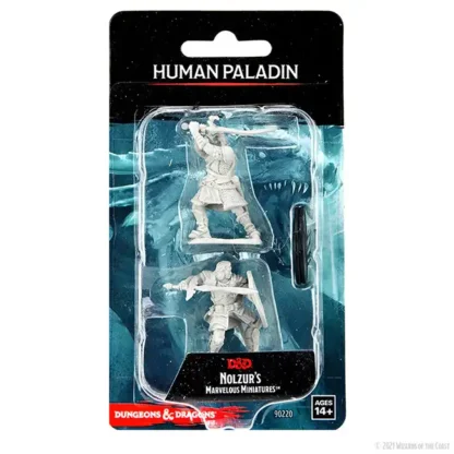 Male Human Paladin (D&D Nolzur's Marvelous Miniatures)(2) - Afbeelding 2