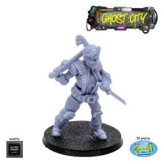 Male Blade Singer (assassin) (Ghost City 3D print, resin)