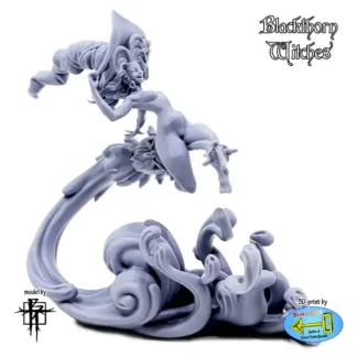 The Witch (Blackthorn Witches 3D print, resin)