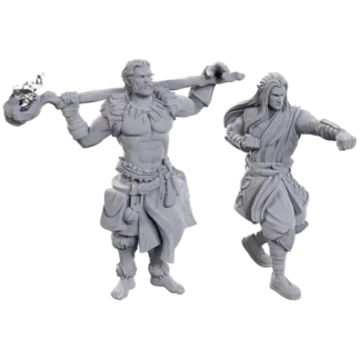 Archdruid & Martial Arts Adept (D&D Nolzur's Marvelous Miniatures)(2)