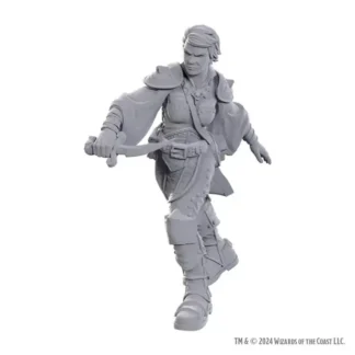Swashbuckler (D&D Nolzur's Marvelous Miniatures)(1)