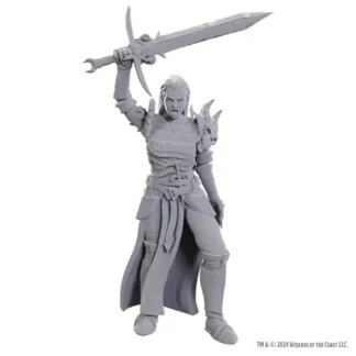 Blackguard (D&D Nolzur's Marvelous Miniatures)(1)