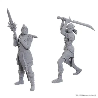 Baldur's Gate 3: Lae'zel & Shadowheart (D&D Nolzur's Marvelous Miniatures Special Edition)(2)