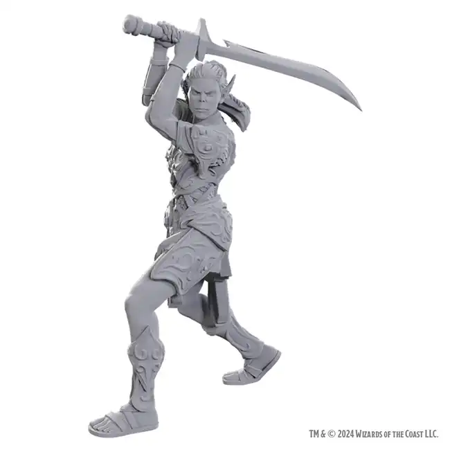 Baldur's Gate 3: Lae'zel & Shadowheart (D&D Nolzur's Marvelous Miniatures Special Edition)(2) - Afbeelding 2