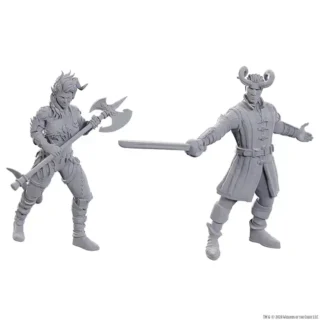 Baldur's Gate 3: Wyll & Karlach (D&D Nolzur's Marvelous Miniatures Special Edition)