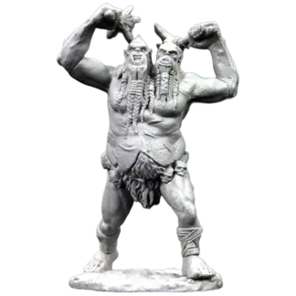 Ettin (D&D Nolzur's Marvelous Miniatures)(1)