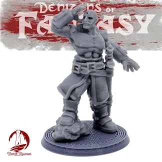 CS1: Human Guard Captain (Denizens of Fantasy - 3D print, resin)