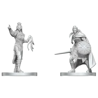Drow Elite Warrior & Drow Priestess of Loth (D&D Nolzur's Marvelous Miniatures)(2)